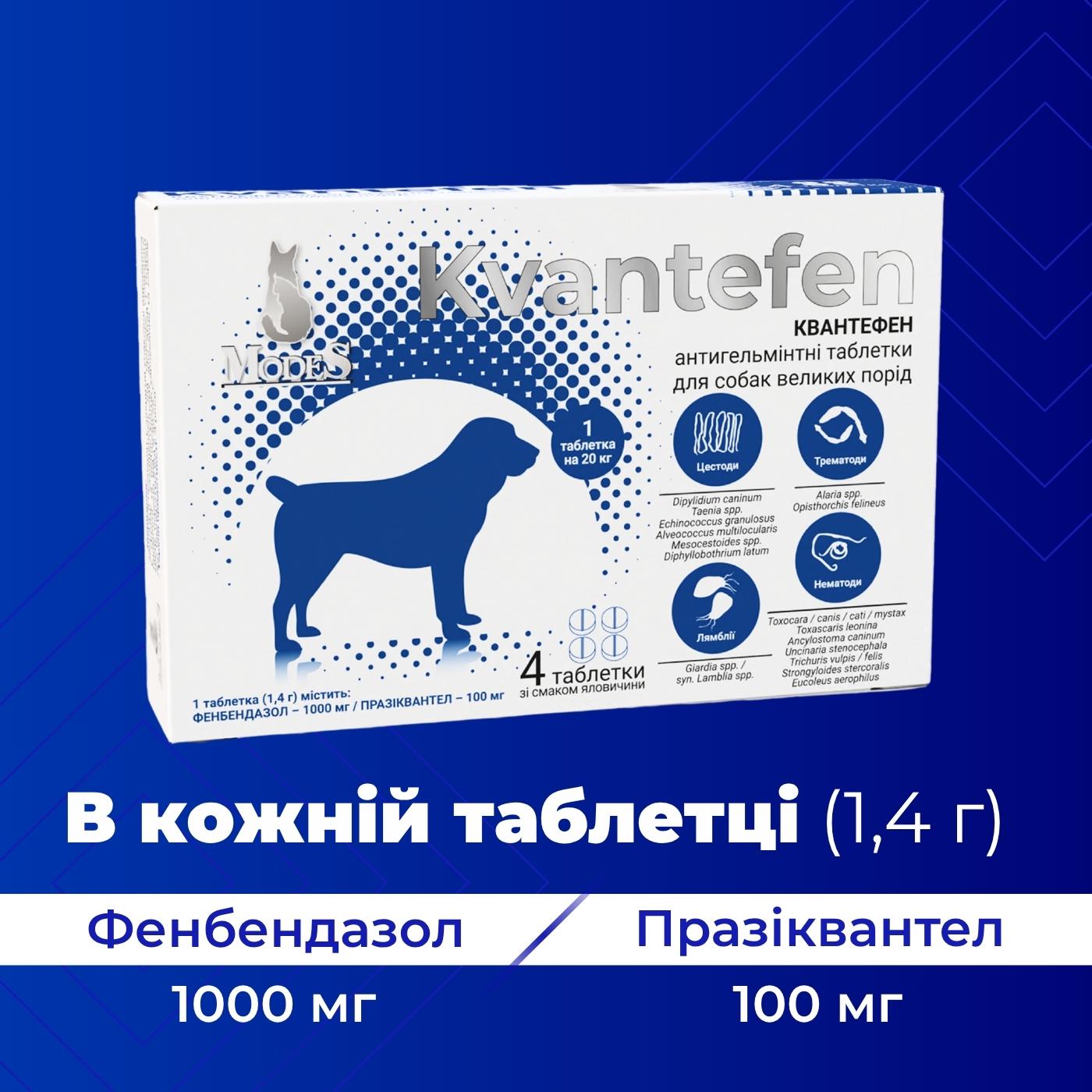 Таблетки антигельмінтні Kvantefen для собак великих порід 1 таб на 20 кг 4 табл. (27850212) - фото 2 Таблетки антигельмінтні Kvantefen для собак великих порід 1 таб на 20 кг 4 табл. (27850212) - фото 2
