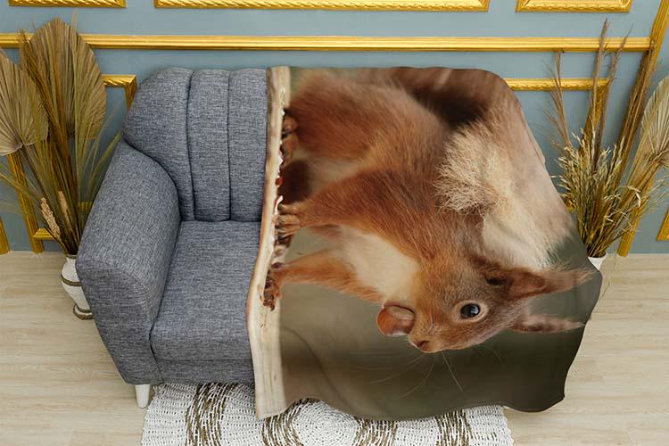 Плед Squirrel with a nut Forest плюш однослойный 135х150 см (113980)