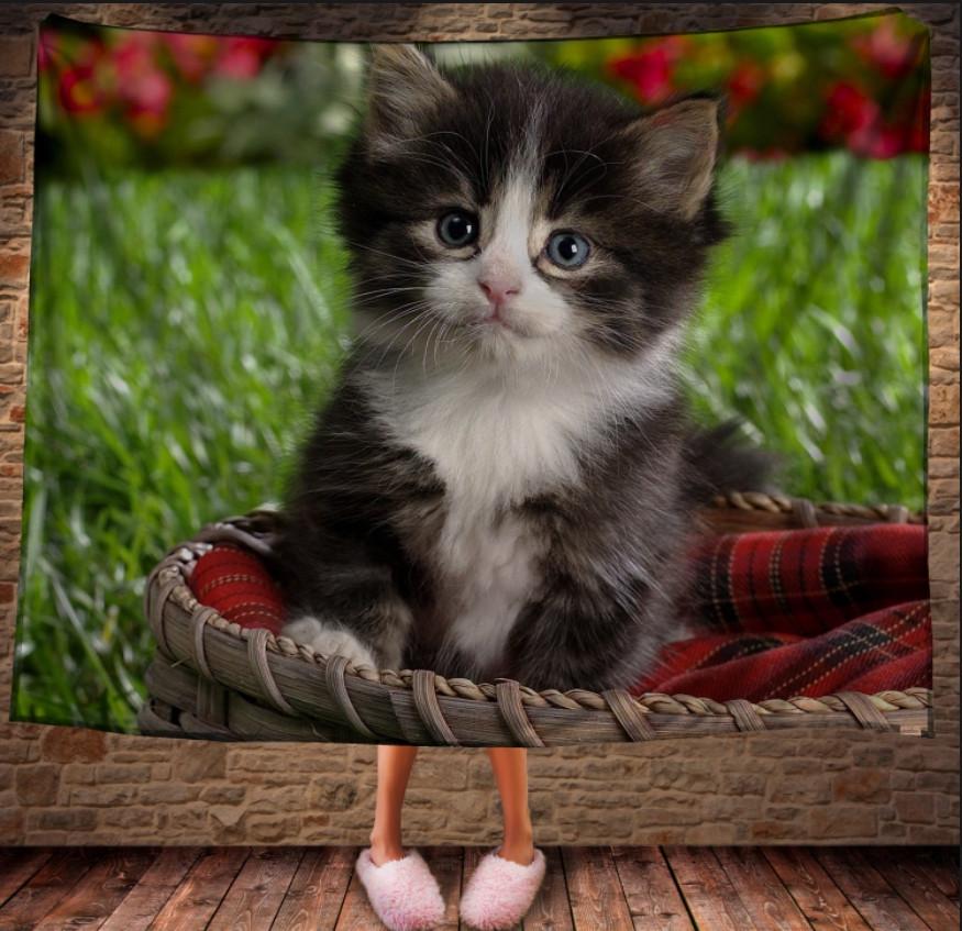 Плед с 3D принтом Котенок в корзине 150x200 см (epi_0249)
