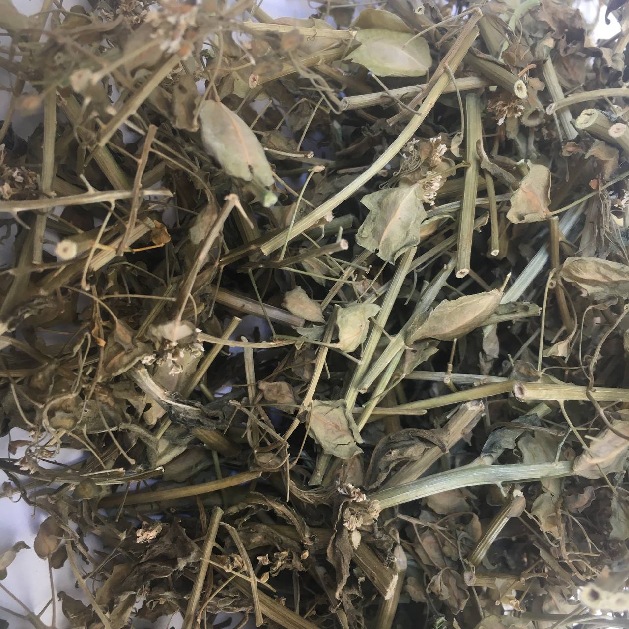 Ярутка Карпаты 50 г (629ca6349675282c3a138b22)