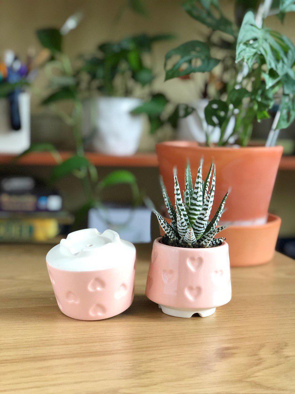 Керамический горшок для суккулентов Mini Plant 6,3х6,4см Арт Сердечки Розовый - фото 3 Керамический горшок для суккулентов Mini Plant 6,3х6,4см Арт Сердечки Розовый - фото 3