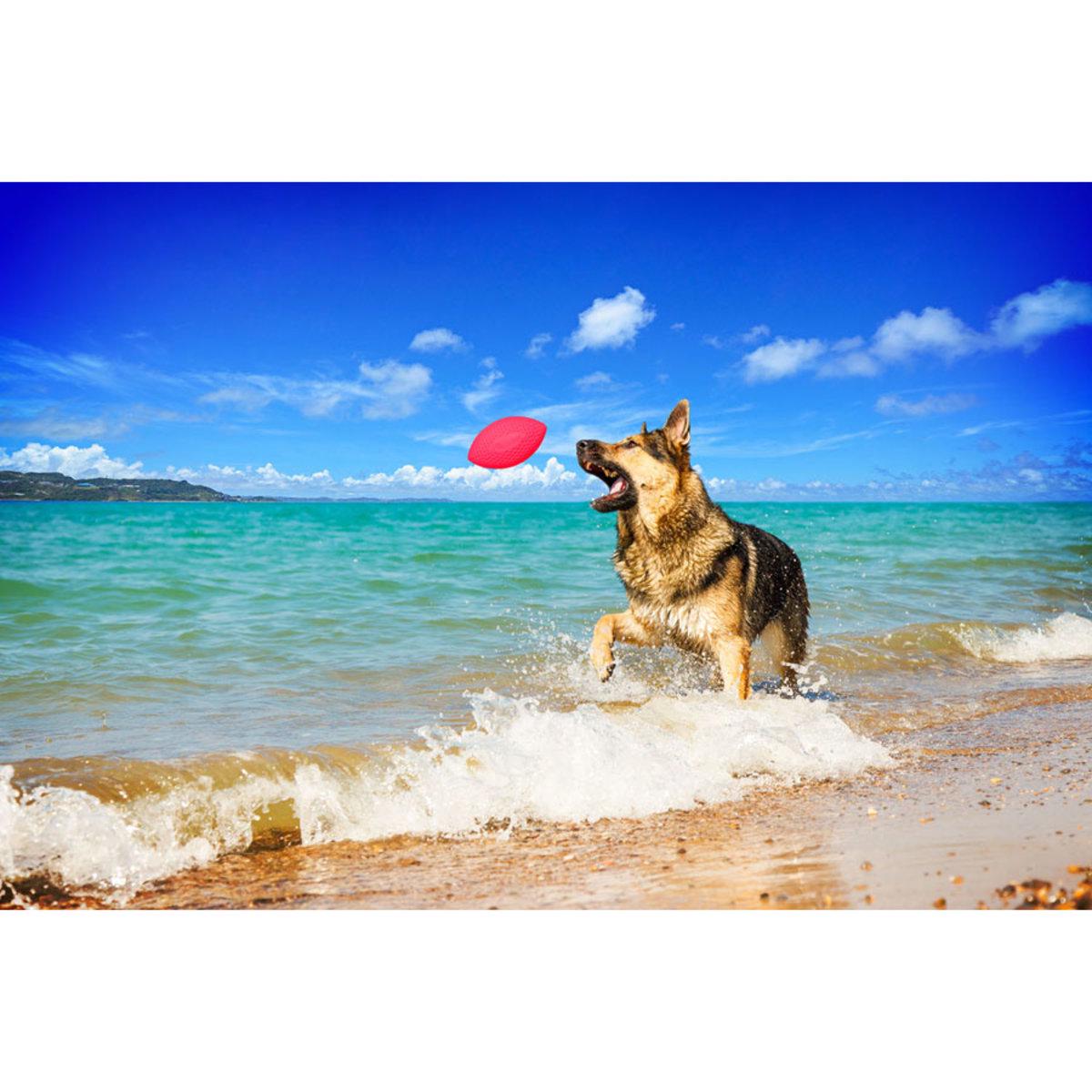 Ігровий м'яч для апортировки PitchDog D 9 см Рожевий (25881234) - фото 4 Ігровий м'яч для апортировки PitchDog D 9 см Рожевий (25881234) - фото 4