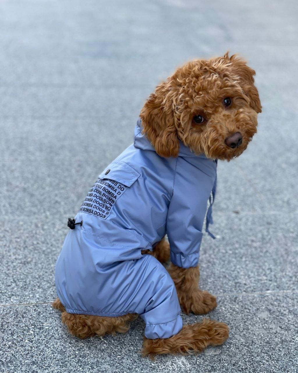 Дождевик для собак Dogs Bomba M-66 р. 4 Голубой (65805861)