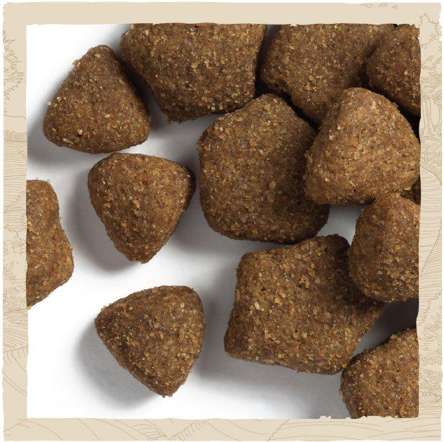 Корм сухий для собак великих порід від 2 років Purina Dog Chow Large Breed з індичкою 14 кг (7613034487926) - фото 4