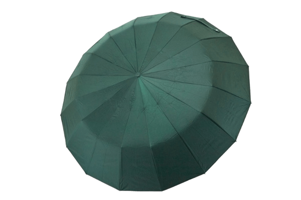 Парасолька-автомат жіноча SKS 61637-3 16 подвійних спиць вітростійка Зелений (33305189)
