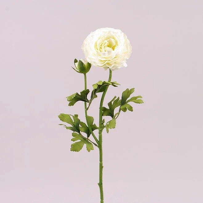 Цветок Ранункулюс Flora Кремовый (72800)