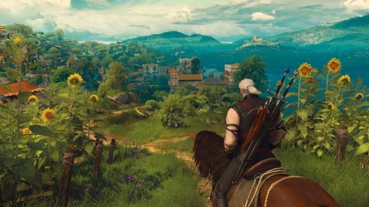 Игра The Witcher 3: Wild Hunt Complete Edition для Nintendo Switch Картридж (0447) - фото 8