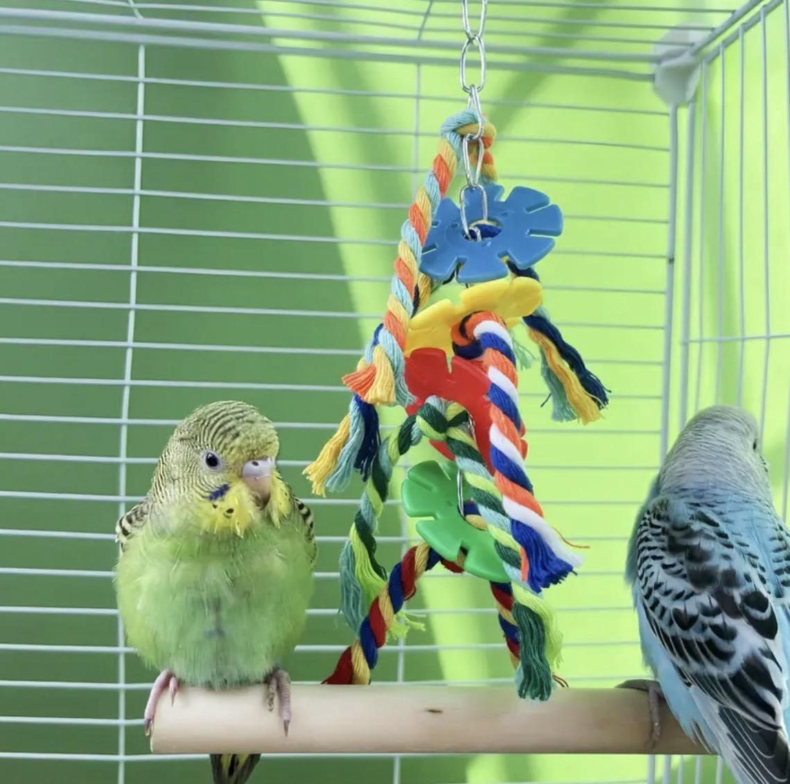 Іграшка плетена для папуг 2 шт. Різнокольоровий (345434534) - фото 3 Іграшка плетена для папуг 2 шт. Різнокольоровий (345434534) - фото 3