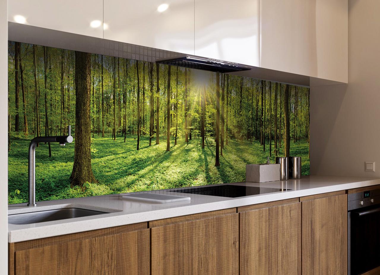 Кухонный фартук Лес лучи солнца из самоклеющейся виниловой пленки 60х250 см Зеленый Кухонный фартук Лес лучи солнца из самоклеющейся виниловой пленки 60х250 см Зеленый