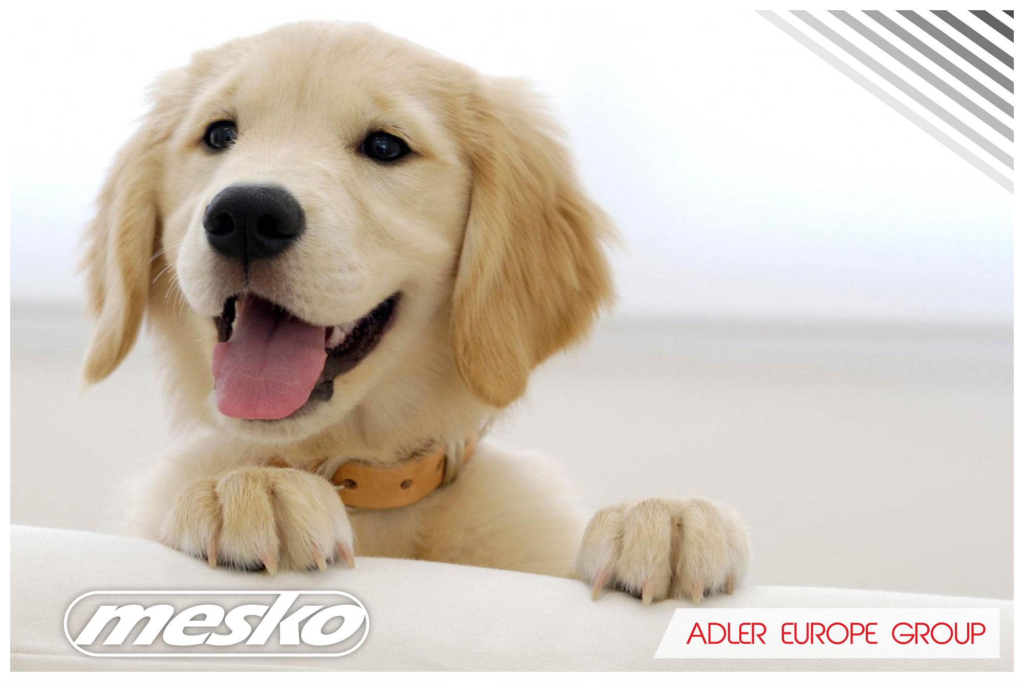 Машинка для стрижки животных Mesko MS 2826 - фото 13 Машинка для стрижки животных Mesko MS 2826 - фото 13