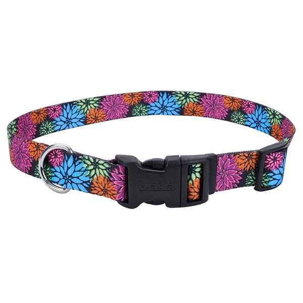 Ошейник для собак Coastal Pet Attire Styles 2х35-50 см (06621_WDF20)