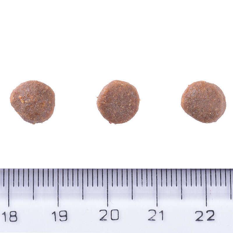 Корм сухой для щенков Brit Care Dog Grain-free Puppy с лососем 12 кг (172195) - фото 3