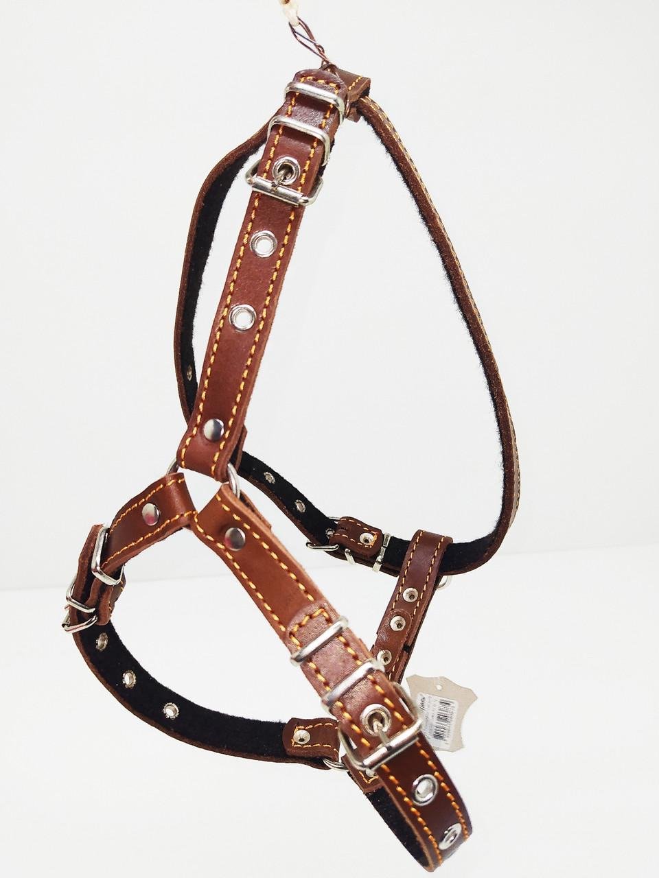 Шлея Лорі для породи пудель Коричневий (ф369)