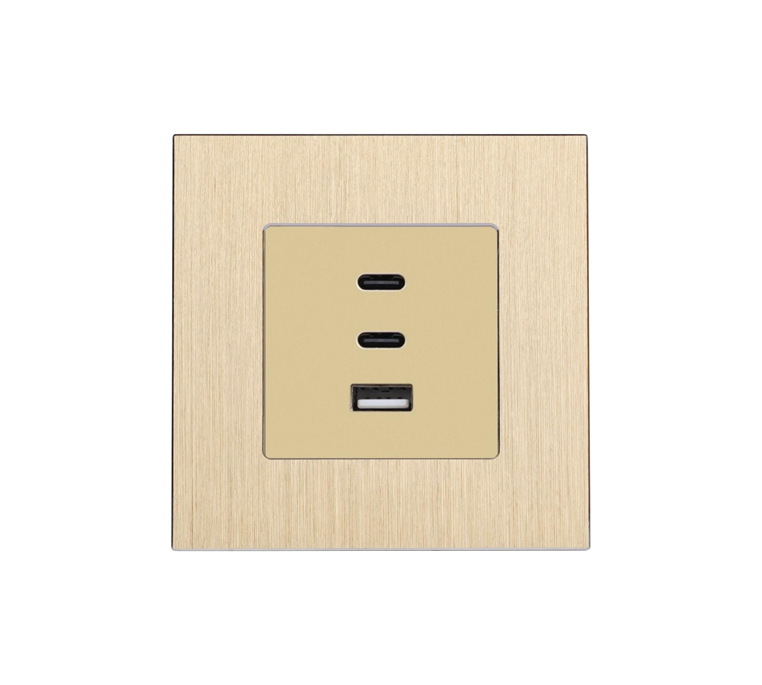 Розетка настенная WALLPAD USB Type-C из 65Вт дизайнерская алюминиевая рамка Золотой (WP-65W-GD)