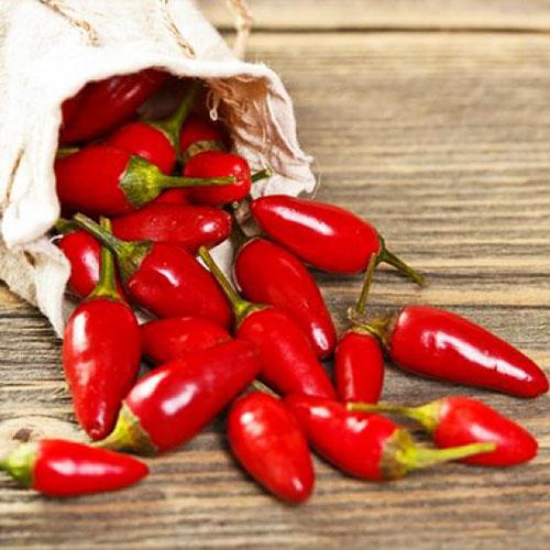 Семена Перець Florium гострий Вогник (17064)