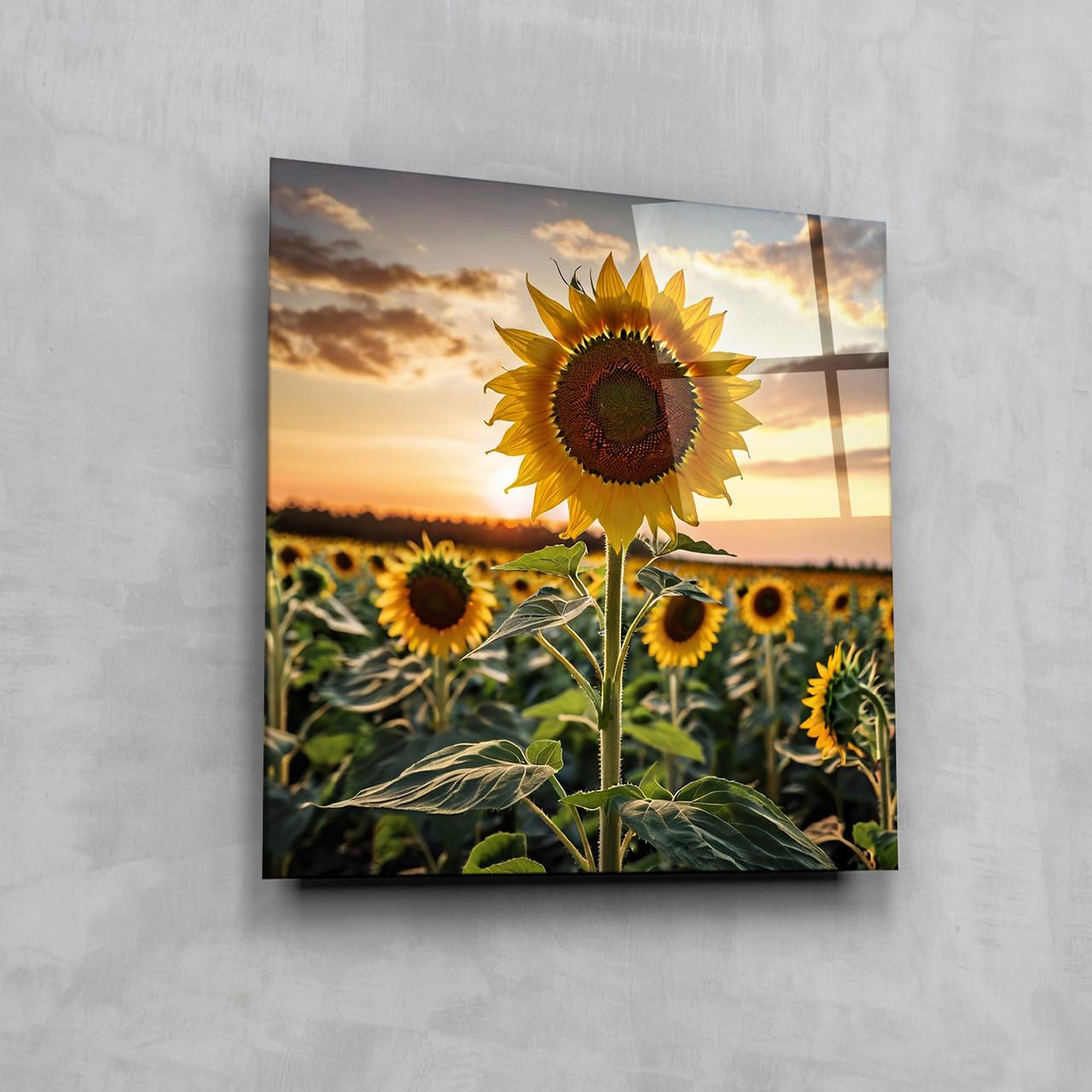 Картина на стекле NovellaPrint Подсолнухи на закате 70х70 см (495.2) - фото 7
