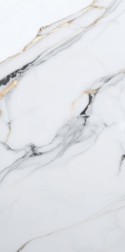 Плитка універсальна Gold Carving 120x60 см (20254) - фото 2 Плитка універсальна Gold Carving 120x60 см (20254) - фото 2
