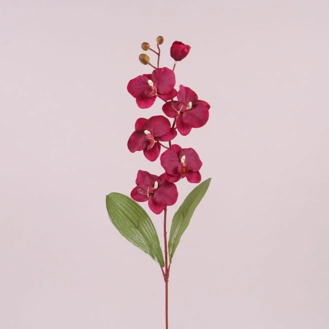 Квітка Фаленопсис Flora Бордовий (73021)
