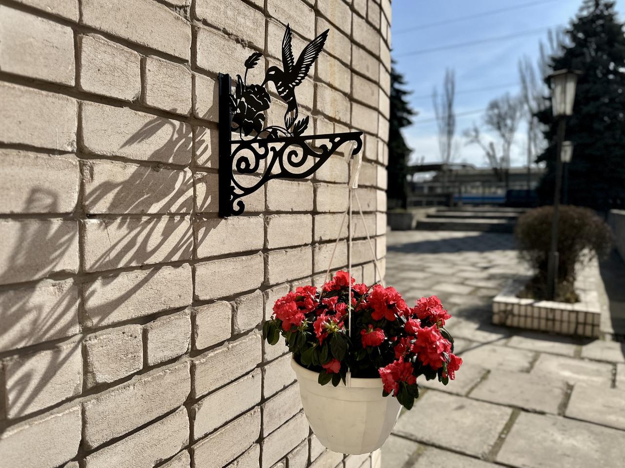 Кронштейн Колибри для кашпо с цветами метал Черный (Б009) - фото 8 Кронштейн Колибри для кашпо с цветами метал Черный (Б009) - фото 8