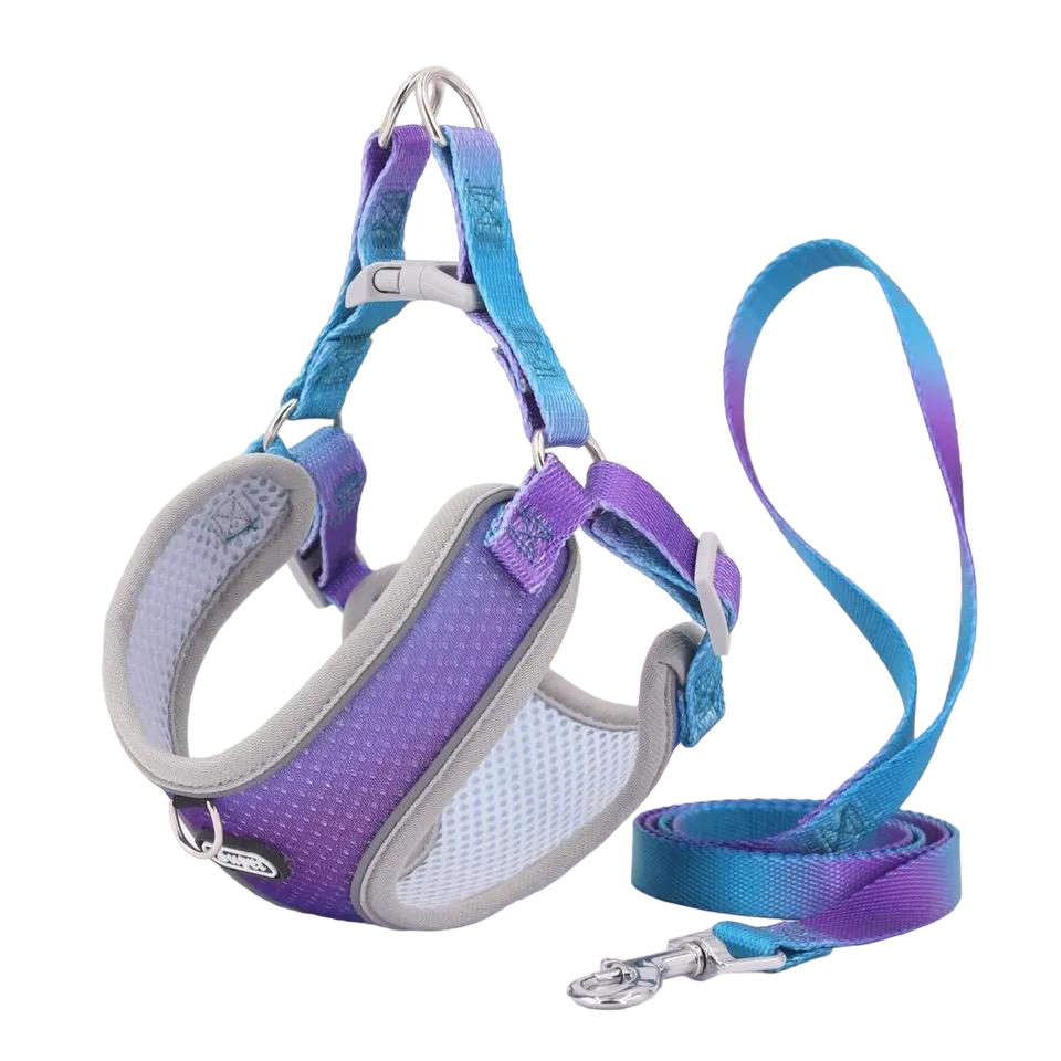 Шлея з повідцем ELIT M Purple (32432432)