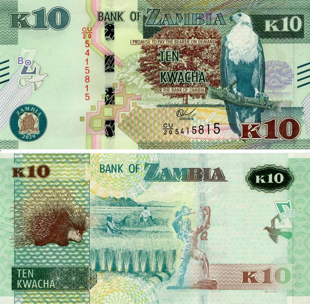 Колекційна банкнота Замбія 10 квача 2020 Дикобраз UNC (Pnew)