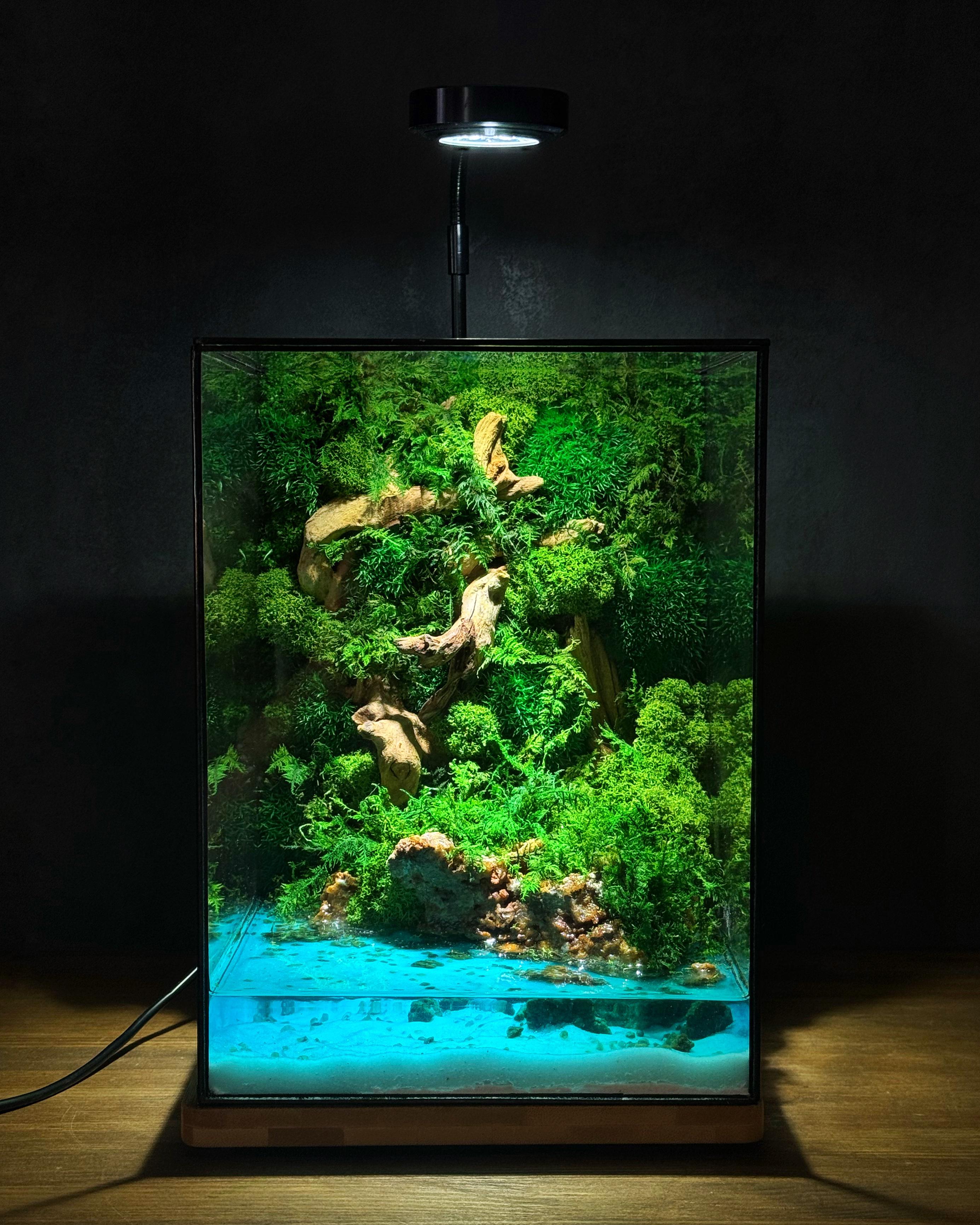 Флорариум из стабилизированных растений в закрытой форме с лампой 34х17,5 см