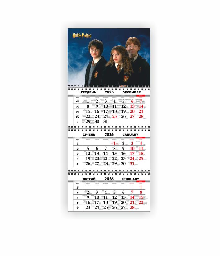 Календарь настенный квартальный Vivay Гарри Поттер на 2026 год (31064180)