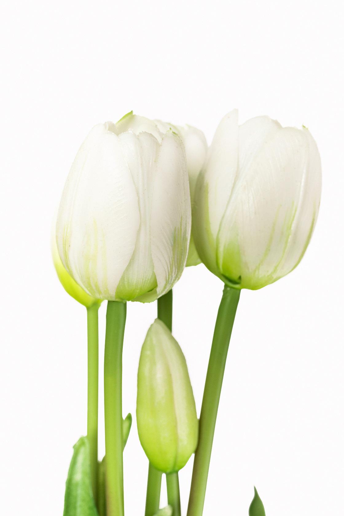 Тюльпан букет Indigo Lux 3 головы 2 бутона 40 см Белый (778-8) - фото 7
