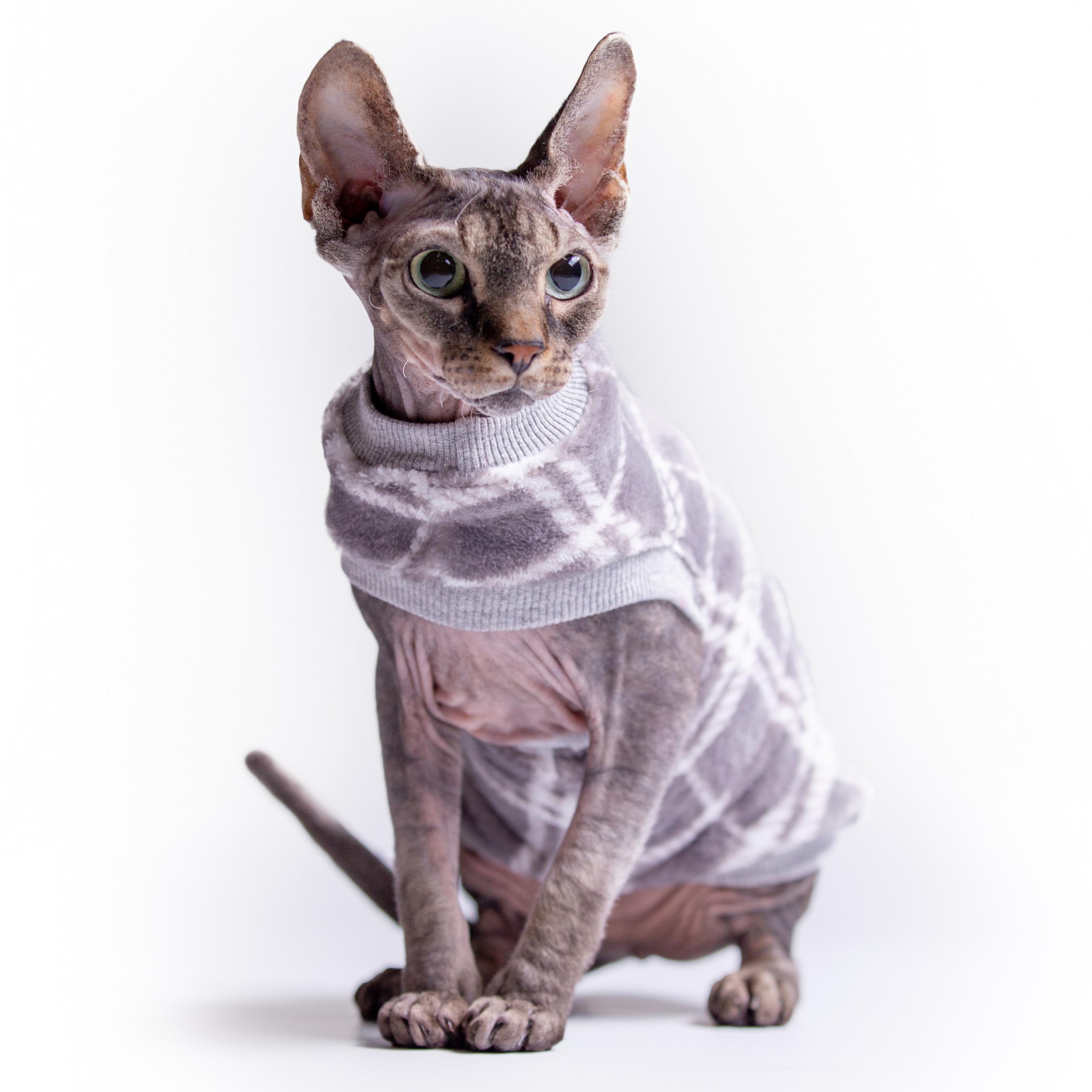 Кофта для кошек без рукавов теплая Style Pets GUCH XL (381XL) - фото 3