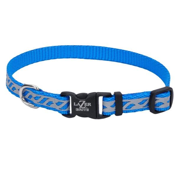 Ошейник светоотражающий для собак Coastal Lazer Brite Reflective Collar 1х20-30 см (46331_BWV12)