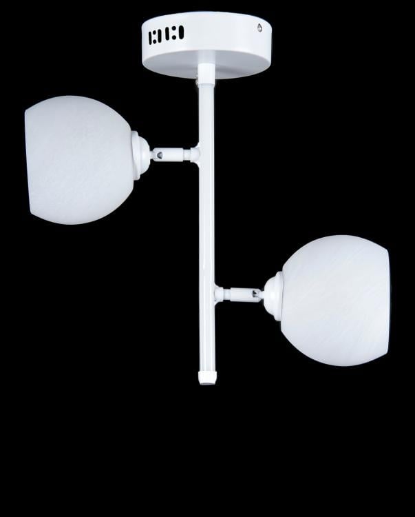 Люстра з плафонами Ray L05215/2 White (IR006196)