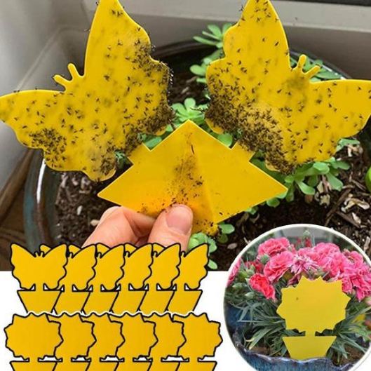 Липка еко пастка для комах Метелик Квітка двостороння 1 шт. (21233892) - фото 2 Липка еко пастка для комах Метелик Квітка двостороння 1 шт. (21233892) - фото 2