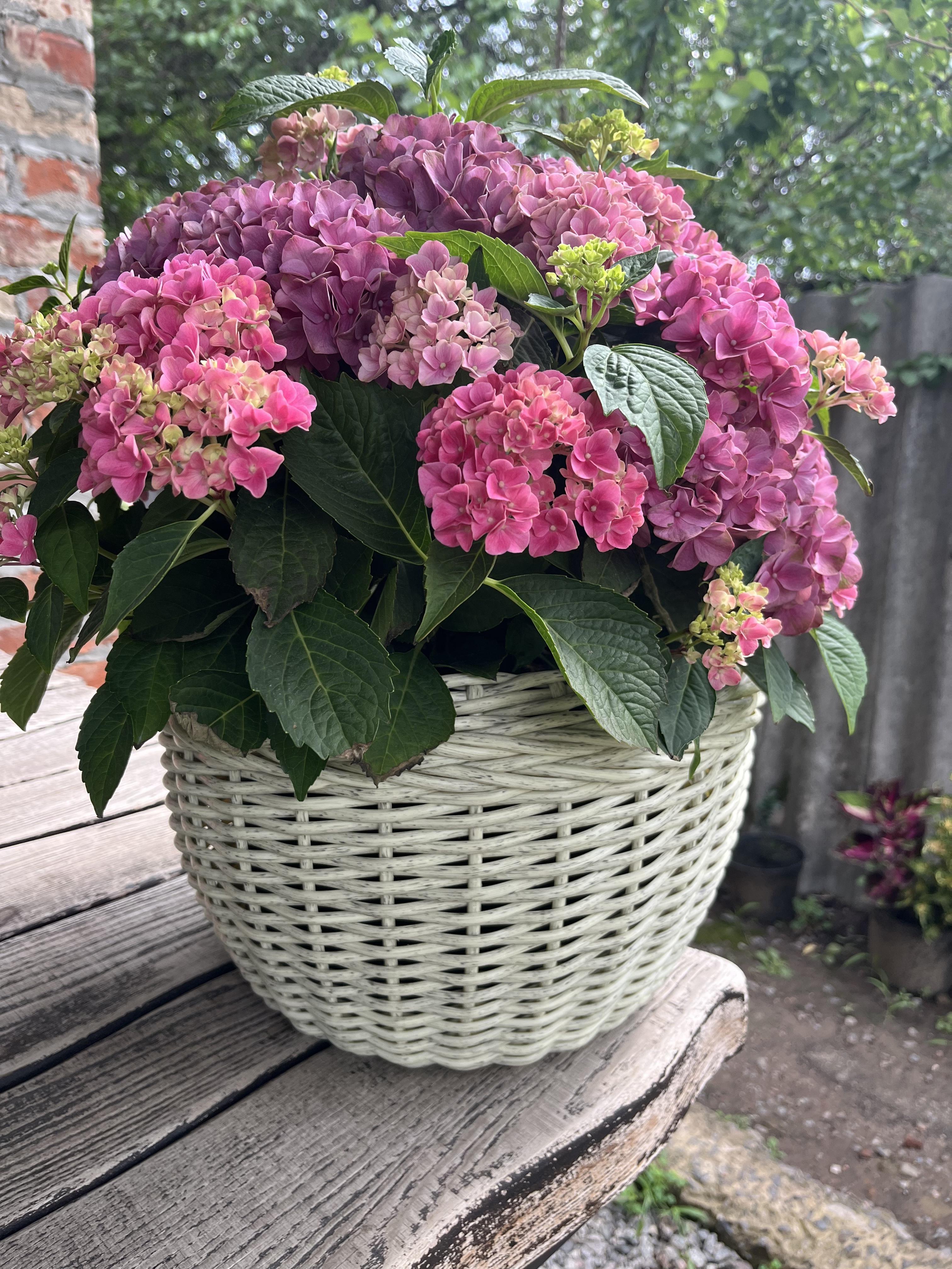 Кашпо для квітів зі штучного ротанга 12 л Слонова кістка (27922225) - фото 1 Кашпо для квітів зі штучного ротанга 12 л Слонова кістка (27922225) - фото 1