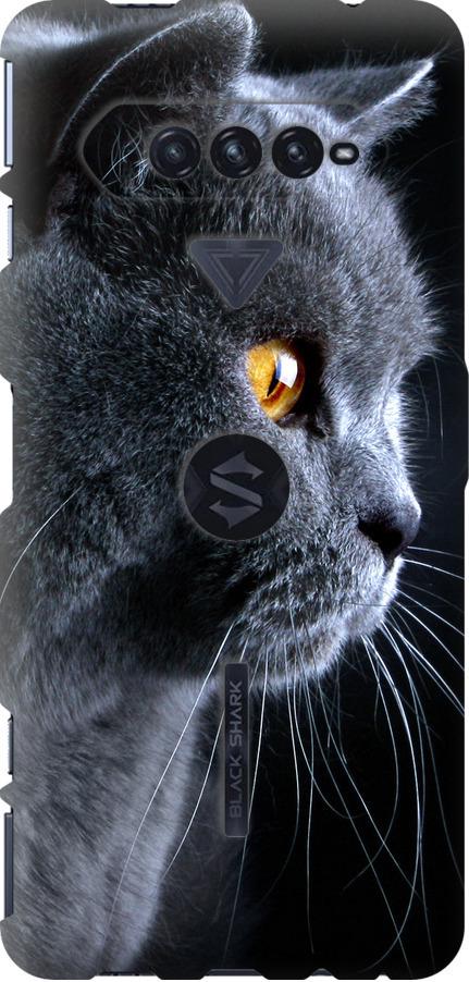 Чехол на Xiaomi Black Shark 4 Красивый кот (3038u-2531-42517) Чехол на Xiaomi Black Shark 4 Красивый кот (3038u-2531-42517)