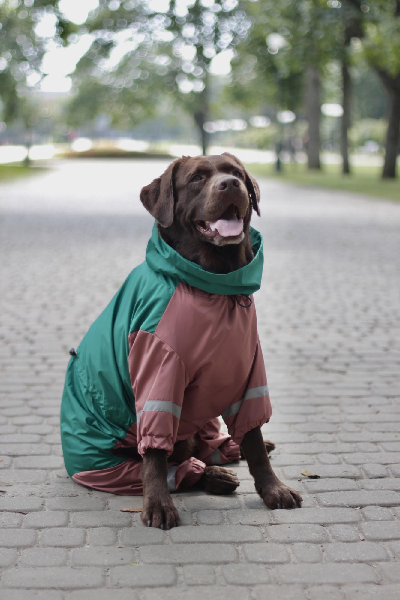Дождевик для больших собак Dogs Bomba р. 11 Зеленый (68565768)