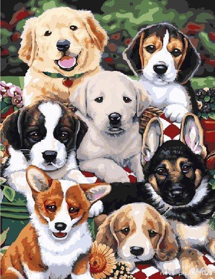 Картина по номерам Brushme Щенки 40х50 см в термопакете (BS5544-mt)