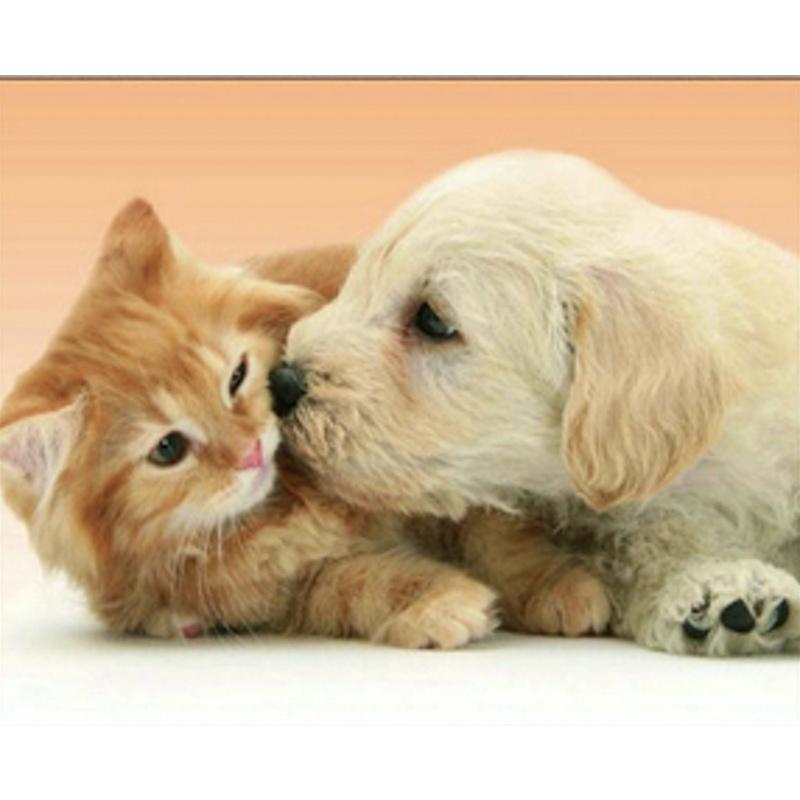 Алмазная мозаика на подрамнике Strateg Премиум Котик и собачка 30x40 см (Str-HEG71467)