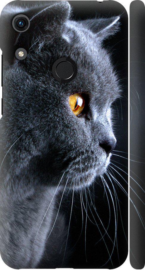 Чехол на Huawei Y6s Красивый кот (3038m-1871-42517) Чехол на Huawei Y6s Красивый кот (3038m-1871-42517)