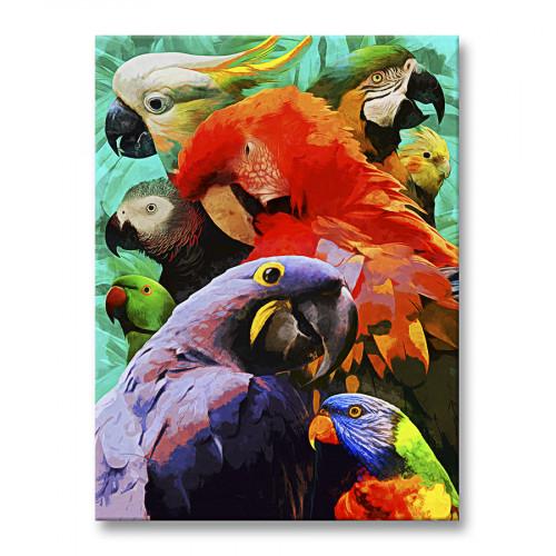 Картина Яркие попугаи 30x40 см (P0499)