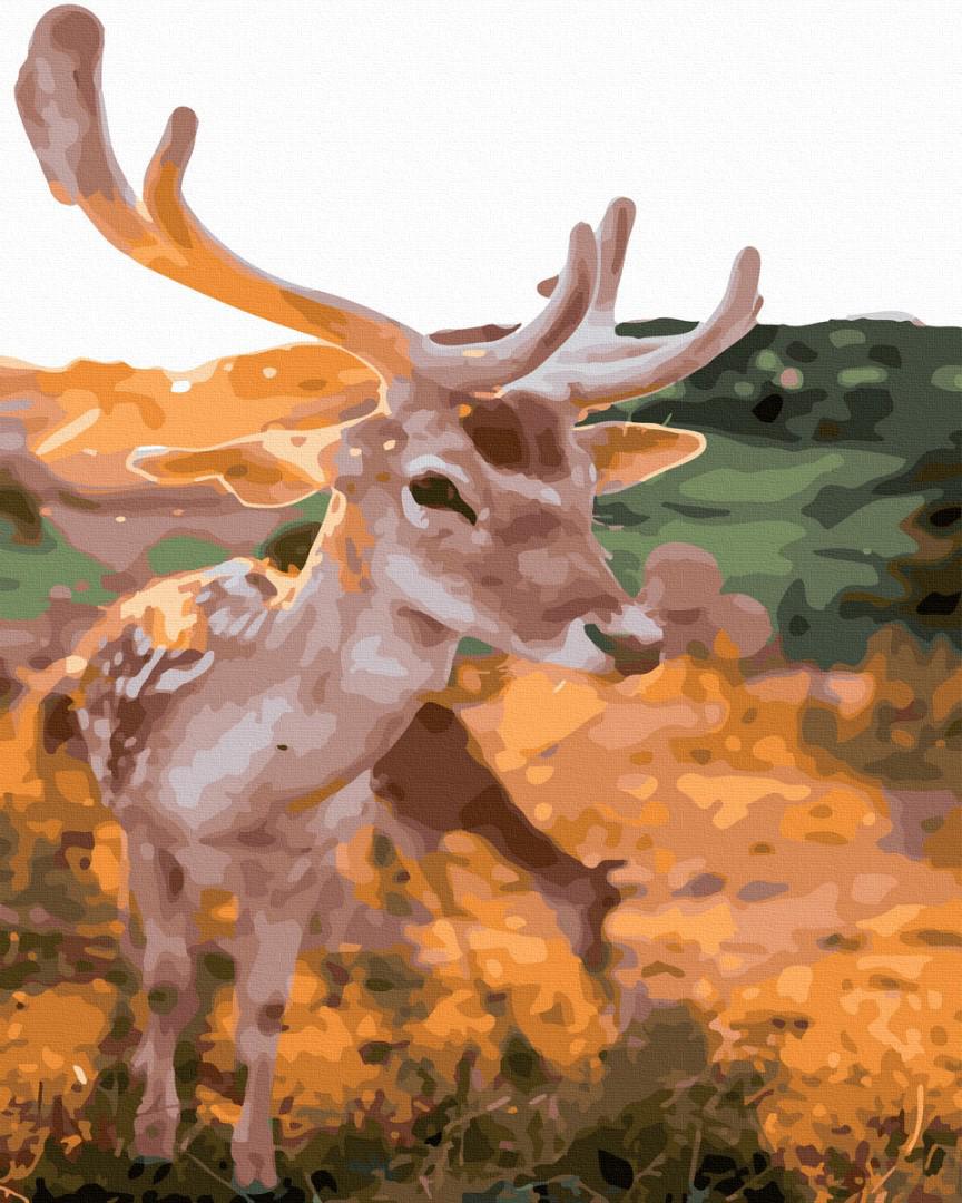 Картина по номерам Brushme Красавец олень 40х50 см (GX41145) Картина по номерам Brushme Красавец олень 40х50 см (GX41145)