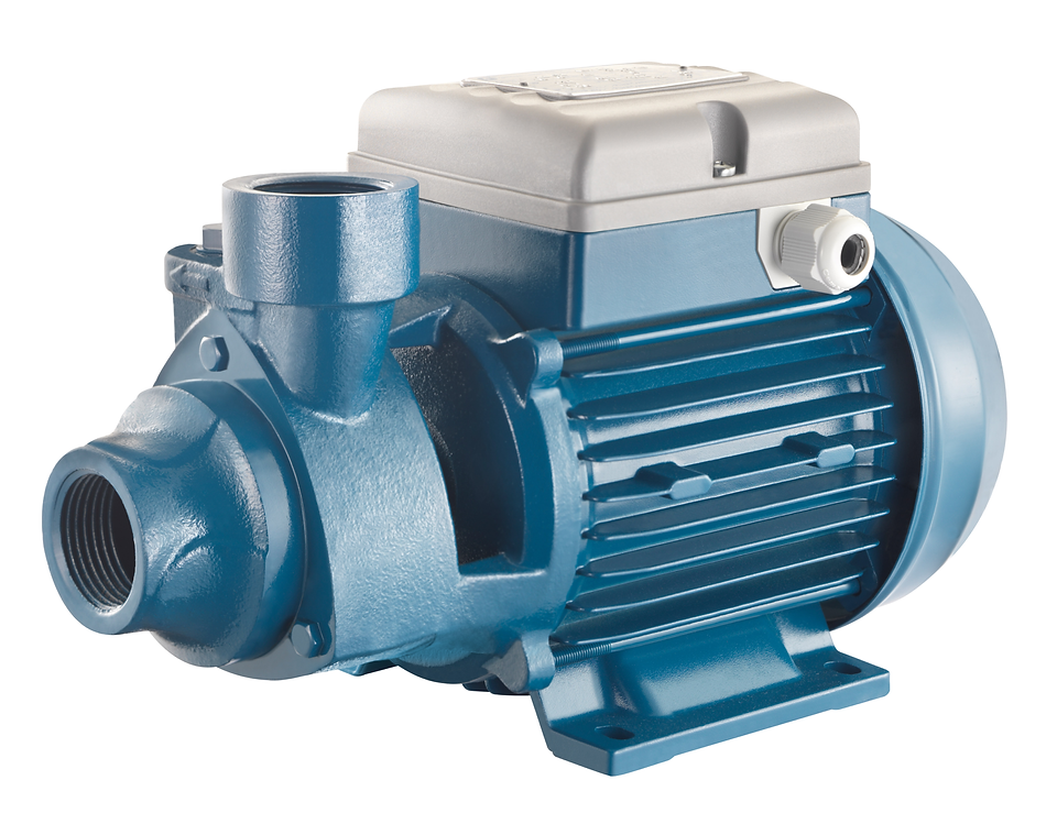 Насос Foras PE 100 T (28054523)