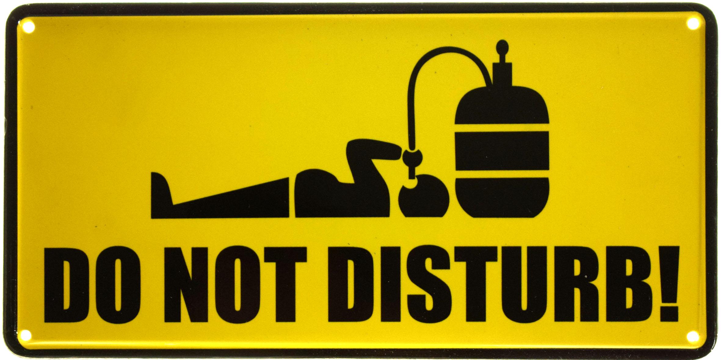Табличка металлическая Просьба Не Беспокоить!/Do Not Disturb! 15x30 см - фото 1 Табличка металлическая Просьба Не Беспокоить!/Do Not Disturb! 15x30 см - фото 1