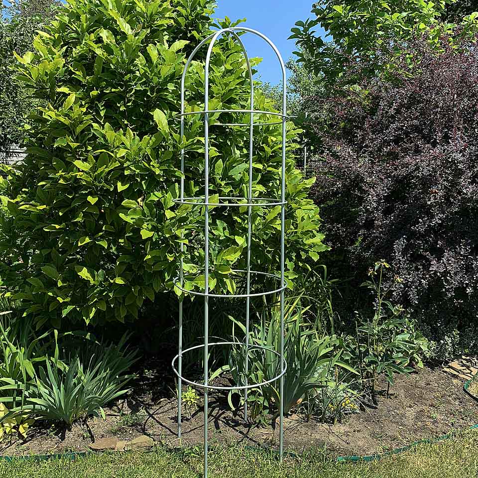 Опора для растений арочно-кольцевая на четыре кольца 1850х500х500 мм (АКО-D13/D8-1850*500/4) - фото 7