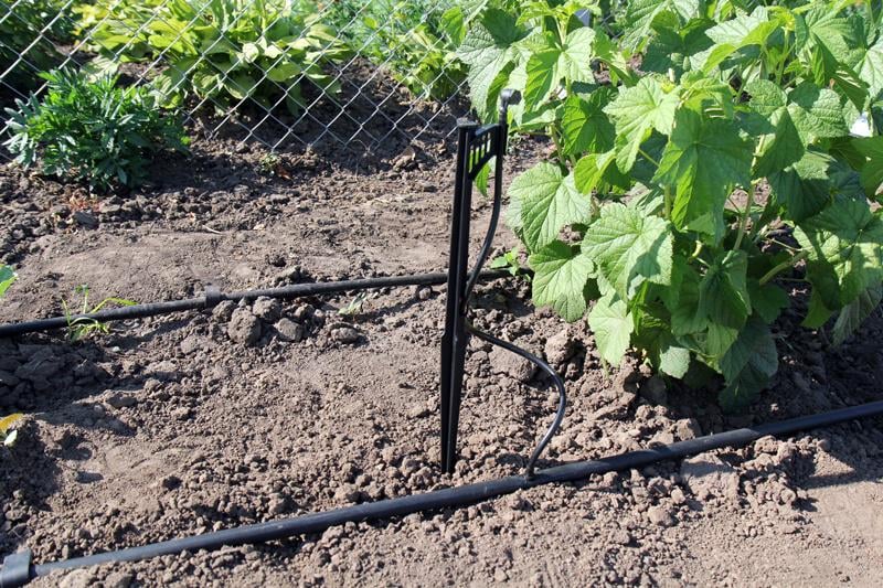 Капельница садовая Presto-PS Туман 12 л/ч (МТ-0208) - фото 9