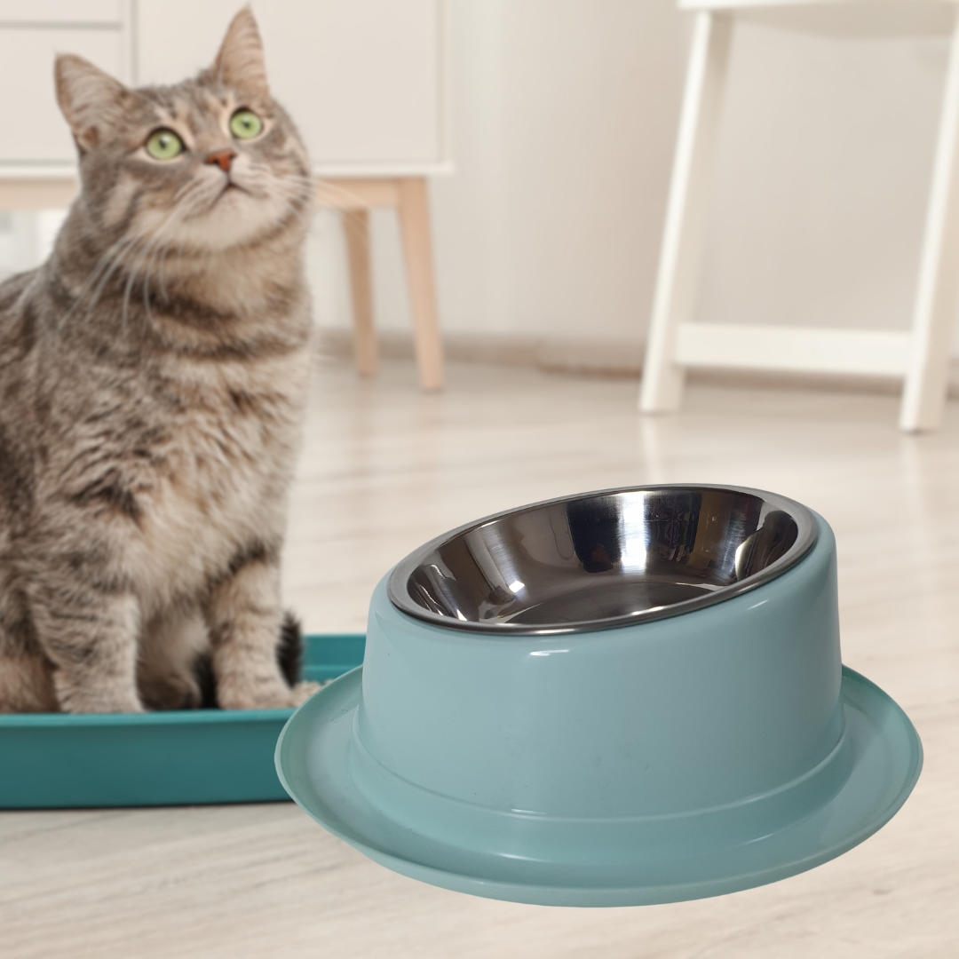 Миска для кошек и собак из безопасных материалов (DG-17-Green) - фото 2