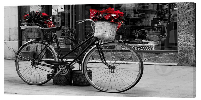 Картина на холсте Декор Карпаты Велосипед 50х100 см (g159)