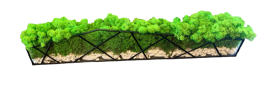 Моссариум со стабилизированным мхом 60х14х8 см (11947914) Моссариум со стабилизированным мхом 60х14х8 см (11947914)