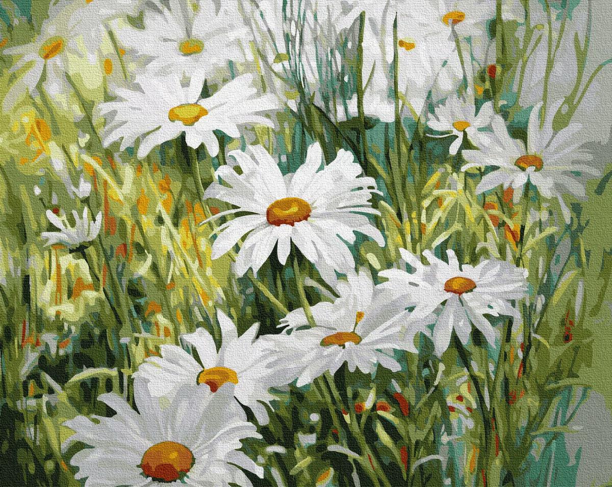 Картина по номерам Brushme Ромашковое поле 40x50 см (BK-GX32263)