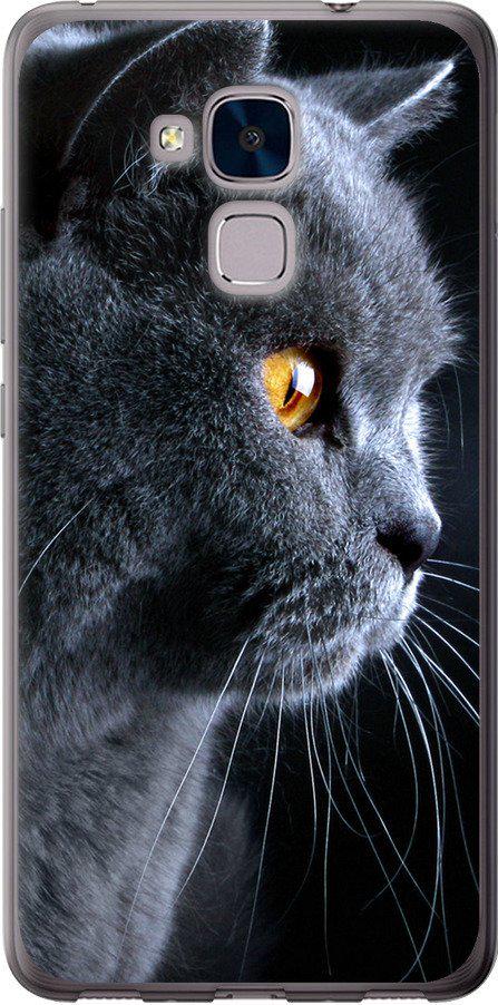 Чехол на Huawei Honor 5C Красивый кот (3038u-356-42517)