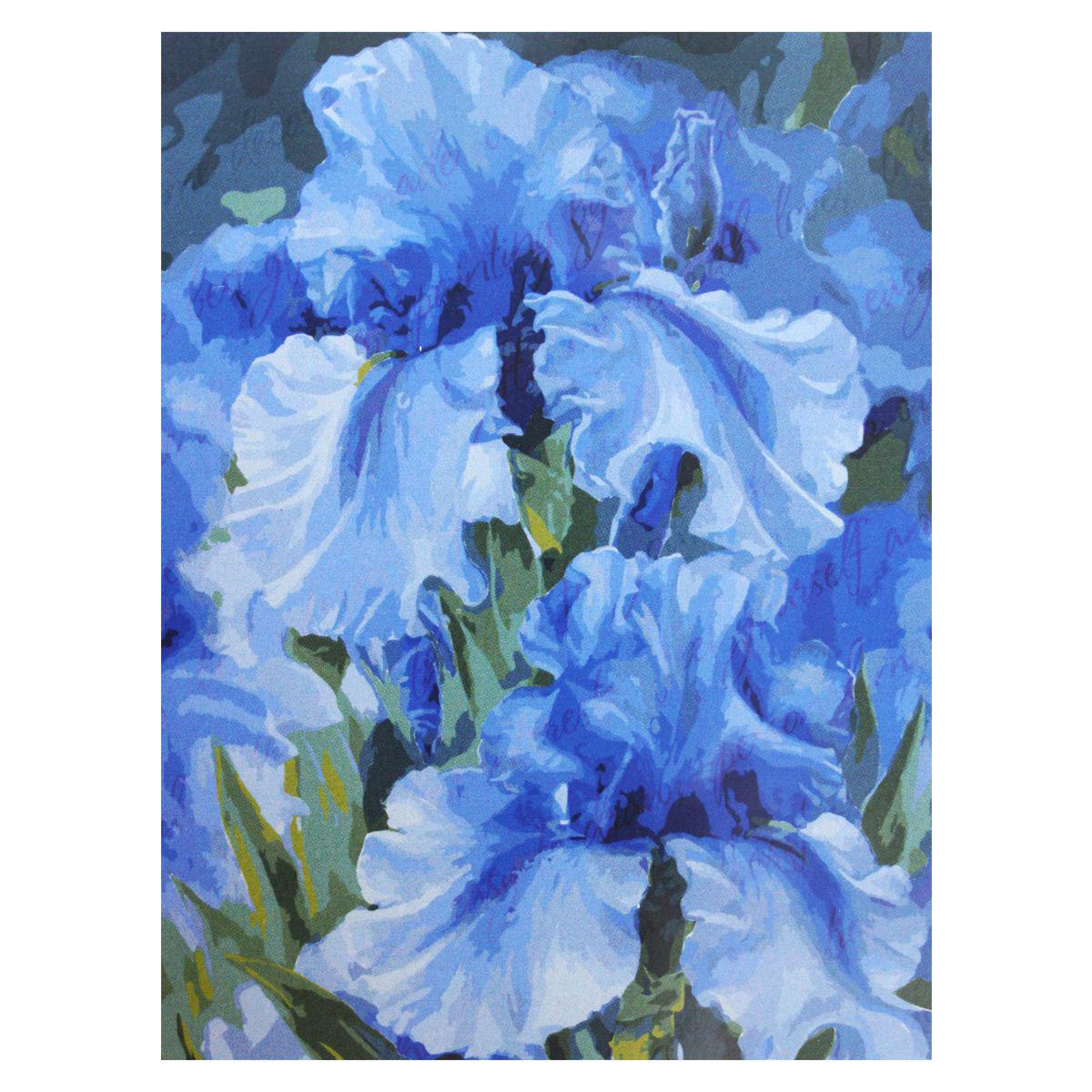 Картина за номерами Ідейка Блакитні іриси 30х40 см (KHO2988)